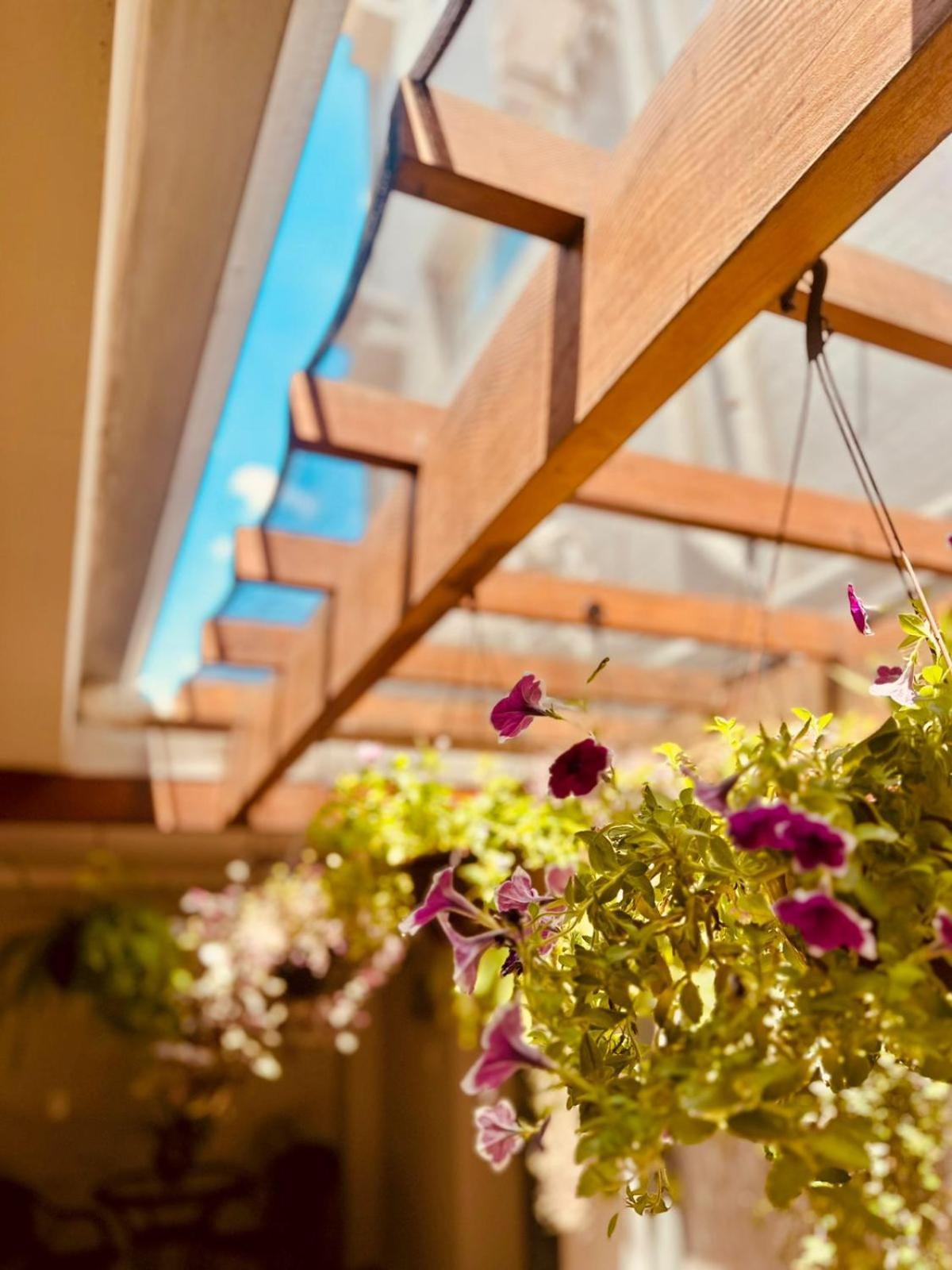 Skalla Hotel Nova Odessa Exteriör bild